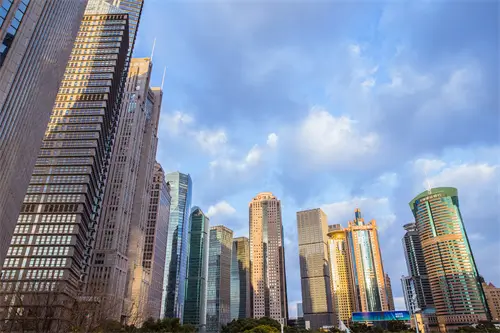 杭州棕榈公司简介资料