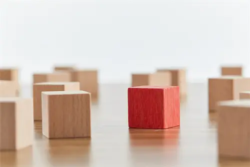 日本丰田霸道公司简介